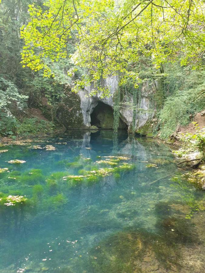 Vila Vera Borsko Jezero Eksteriør billede